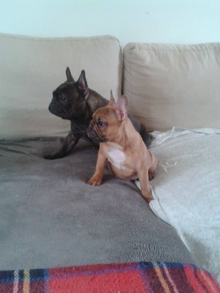 Happy et Iris le 04.02.2014